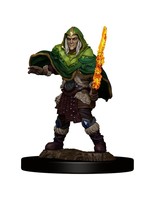 Dungeons & Dragons 5e D&D IOTR Wave 5 Elf Fighter Male