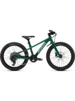 Specialized Specialized Riprock 20 Gloss Pine Green / Dune White and California Sunshine