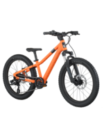 Scott SCOTT Roxter 200 Bike