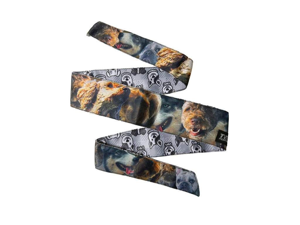 Toxic Performance Toxic Performance Headband - Dogs