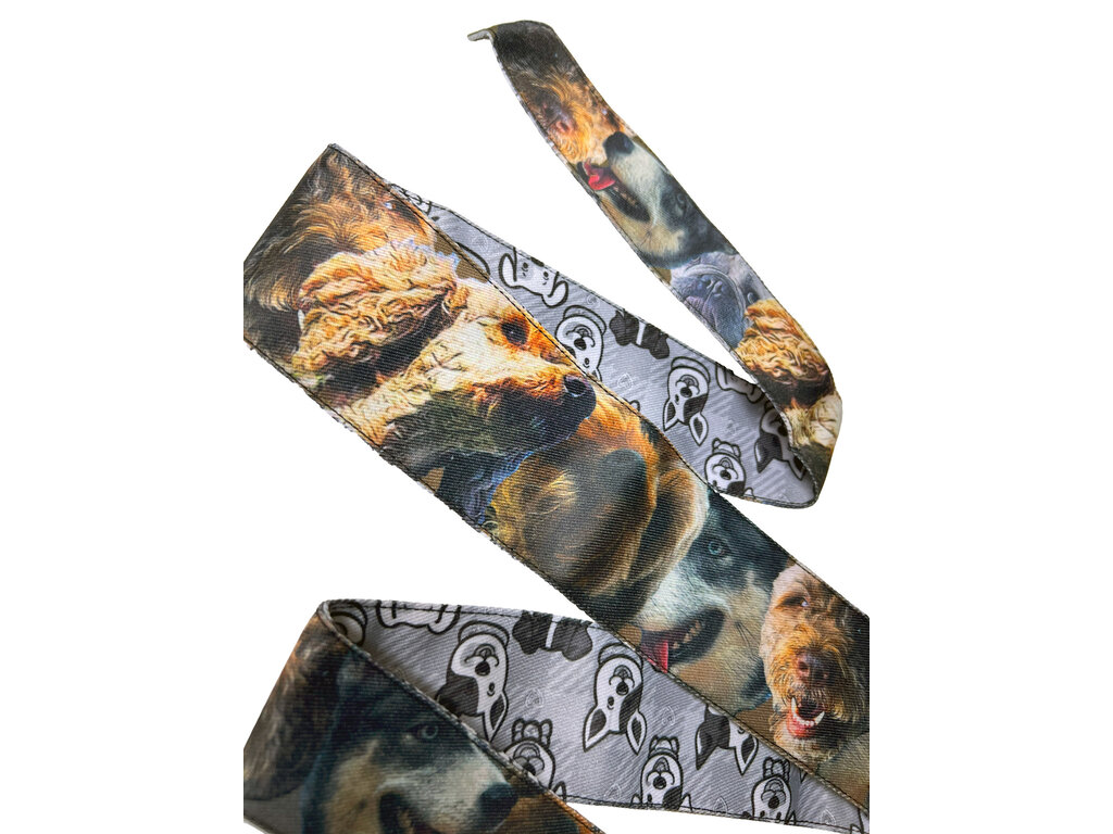 Toxic Performance Toxic Performance Headband - Dogs