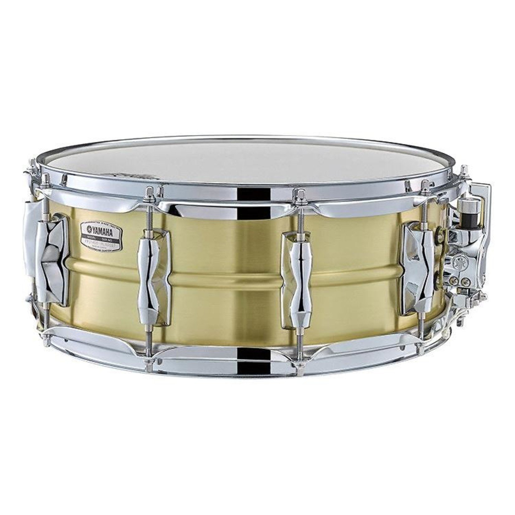 Recording Custom Snare Drum - 14" x 5.5" Brass - Drum Closet