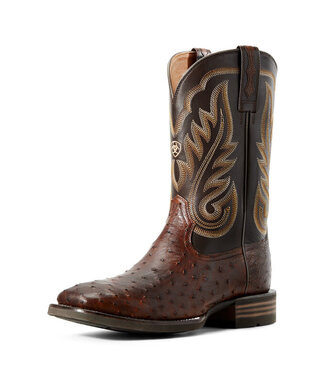 Ariat 10029721 Promoter ostrich brown boot