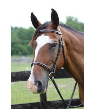 5013-03H FANCY RAISED SNAFFLE B HORSE