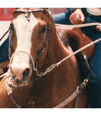 Classic Equine BOZOSP SIDEPULL LONG SHANK