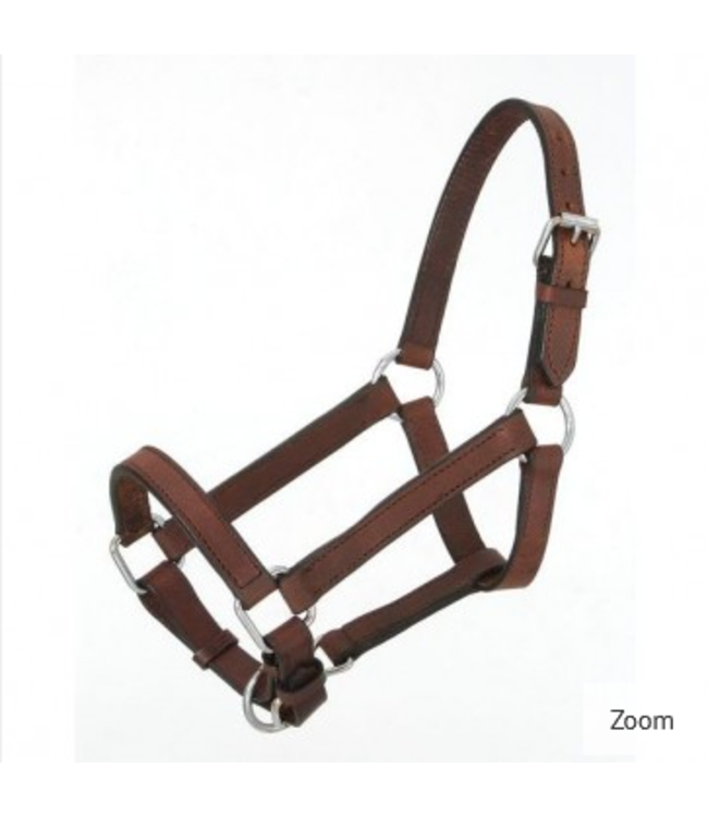 44-701  MINIATURE HALTER BROWN SMALL