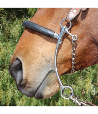 Professional's Choice BPB-301 BRITTANY POZZI SHORT SHANK HACKAMORE 6 1/2"