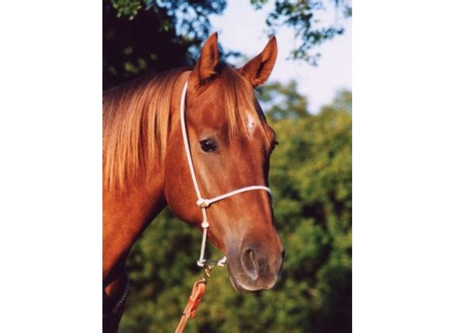 Htdr Headset Tiedown Rope Nose A Bit Of Tack