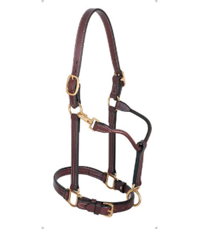 10800-51-166 1" TRACK HORSE HALTER LEATHER