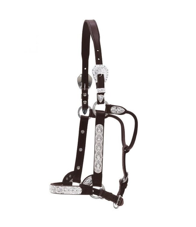 0610-1000 CIRCLE Y FLOWER AND BLUE STONE SHOW HALTER