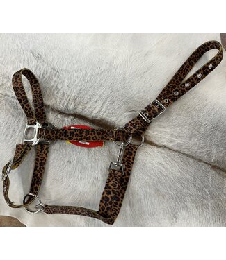 Showman 16769 NYLON HORSE HALTER CHEETAH PRINT