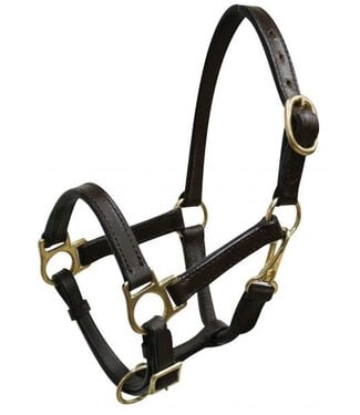 Showman WEANLING LEATHER HALTER