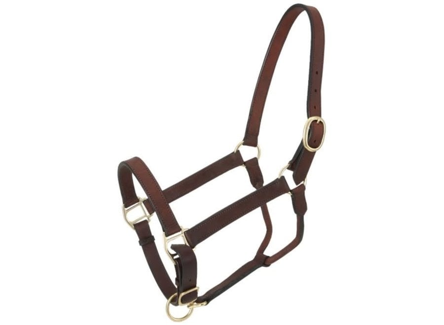 Chocolate & White Gator 3 Piece Bronc Halter, Horse Tack, Halters, Leather  Halter, White Tack, USA Made