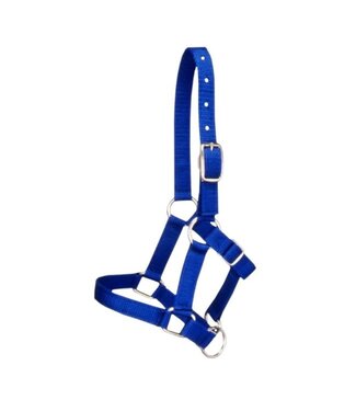 Tough 1 50-703 MINIATURE NYLON HALTER ASSORTED