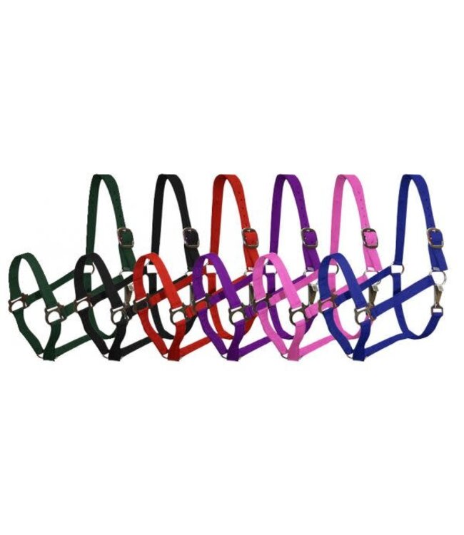 2 PLY NYLON PONY HALTER (ASSORTED COLORS)