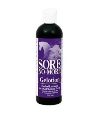 SORE NO-MORE GELOTION 12 OZ.