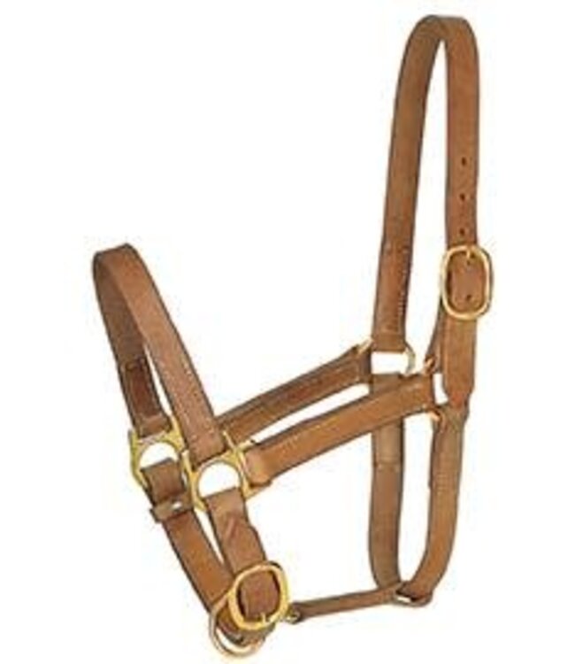 TURN OUT HALTER