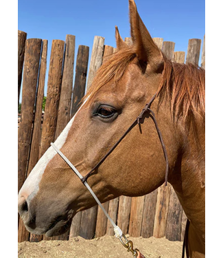 JERRY BEAGLEY SINGLE ROPE NOSEBAND (ASSORTED COLORS)