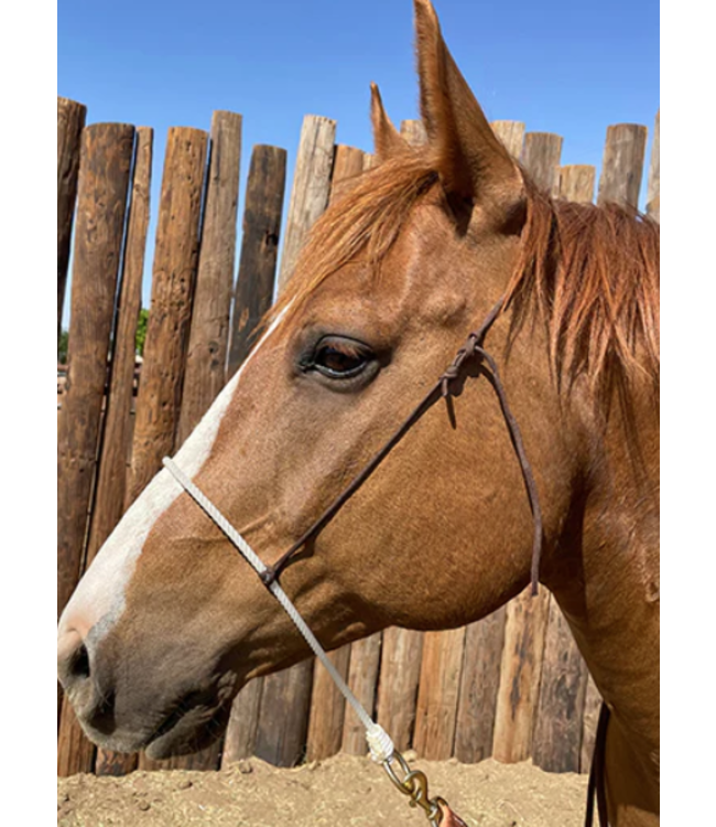 SINGLE ROPE NOSEBAND (ASSORTED COLORS)