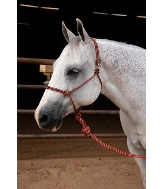 Professional's Choice EASY ON ROPE HALTER WITH LEAD