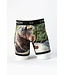 6" BEAR BOXER BRIEF