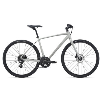 Giant GIANT Escape 2 Disc vélo hybride urbain Unisexe