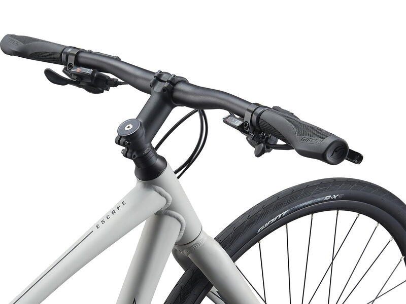 Giant GIANT Escape 2 Disc vélo hybride urbain Unisexe