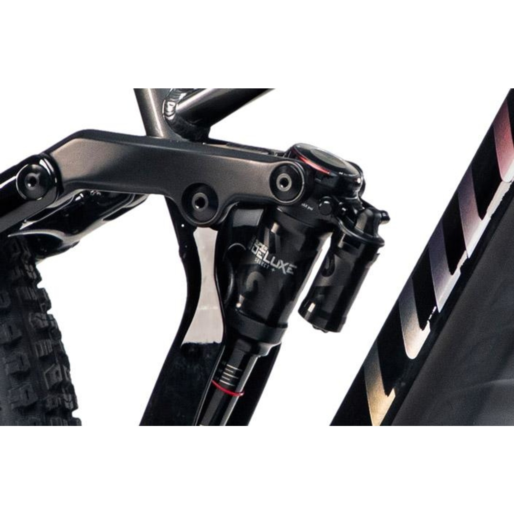Velo niner 2024