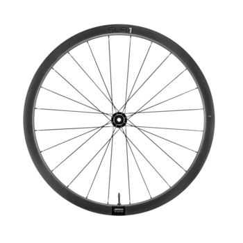 Giant GIANT SLR 1 36 Disc Hoolkless avant 100 x 12 Thru axle