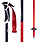 SWIX SWIX WC Pro SL Bâtons de ski de fond