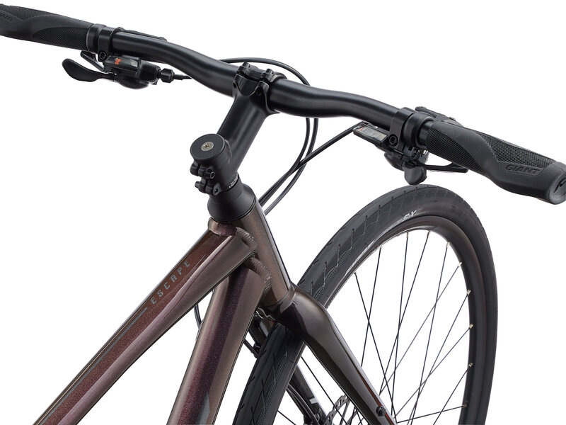 Giant GIANT Escape 2 disc Vélo Hybride Unisexe Rosewood