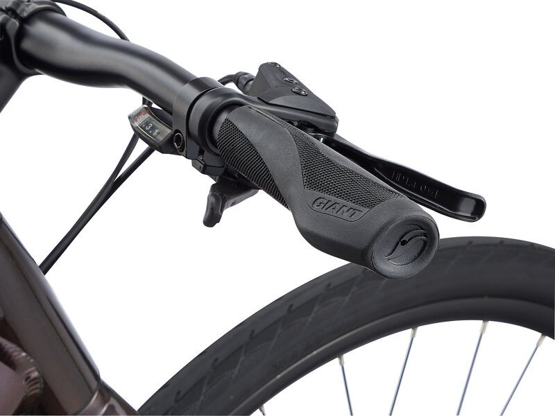 Giant GIANT Escape 2 disc Vélo Hybride Unisexe Rosewood