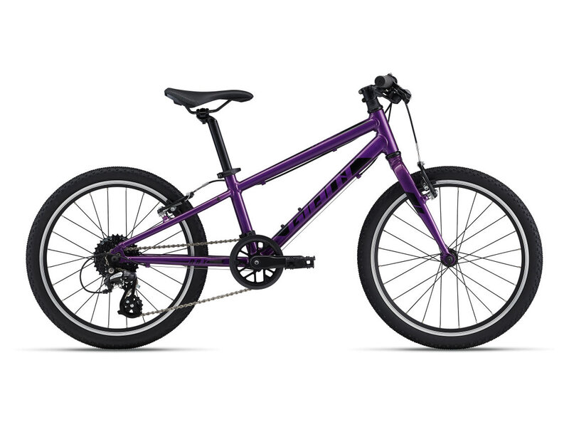 Giant GIANT ARX 20 pouces vélo junior