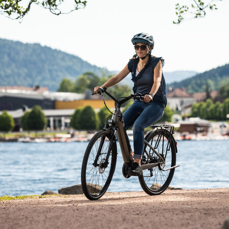 Vélos Électriques