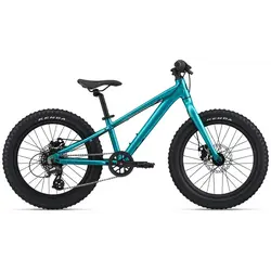Liv LIV STP 20 pouces vélo junior