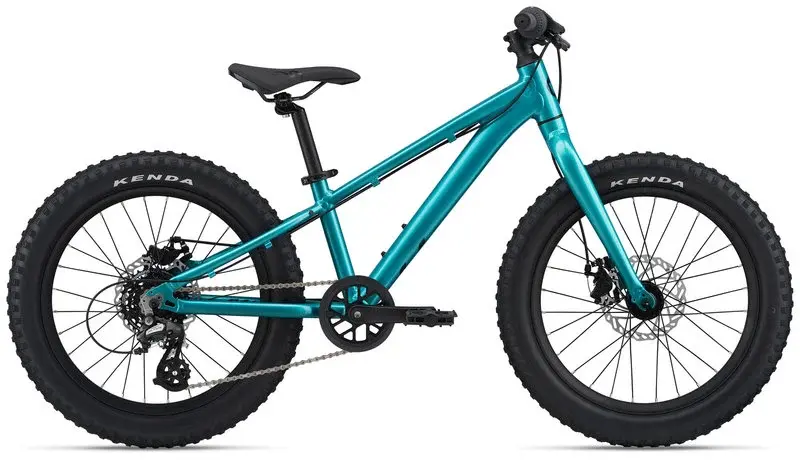 Liv LIV STP 20 pouces vélo junior