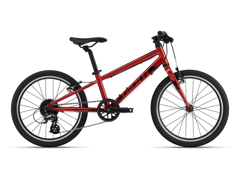 Giant GIANT ARX 20 pouces vélo junior