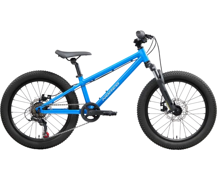Norco NORCO Storm 20 pouces vélo pour enfant Bleu