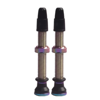 Evo EVO Valves Tubeless Presta 44mm Iridescent Paire