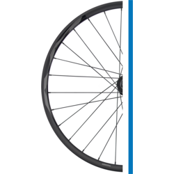 Giant GIANT 21 AM roue avant (29'' x 30 mm, axe traversant de 110 x 15 mm) Noir