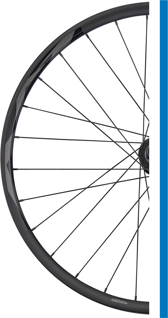 Giant GIANT 21 AM roue avant (29'' x 30 mm, axe traversant de 110 x 15 mm) Noir