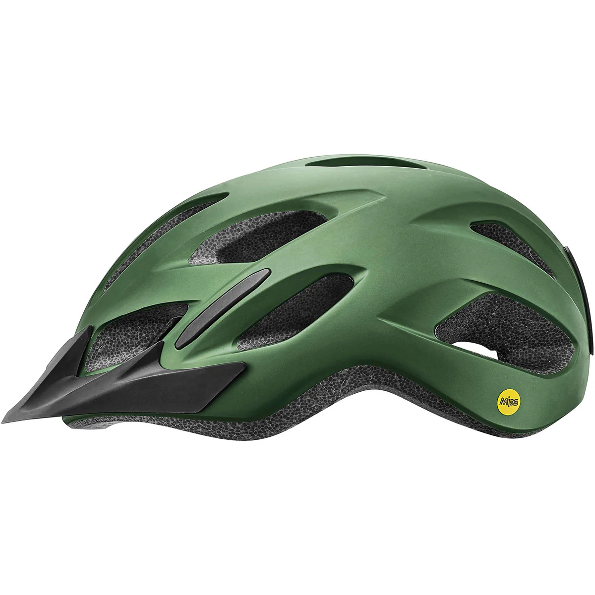 Giant GIANT Compel Mips casque