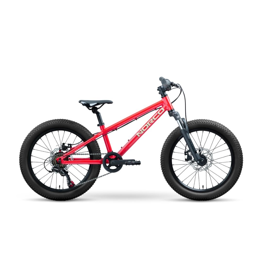 Norco NORCO Storm S20 vélo junior 20 pouces 2025