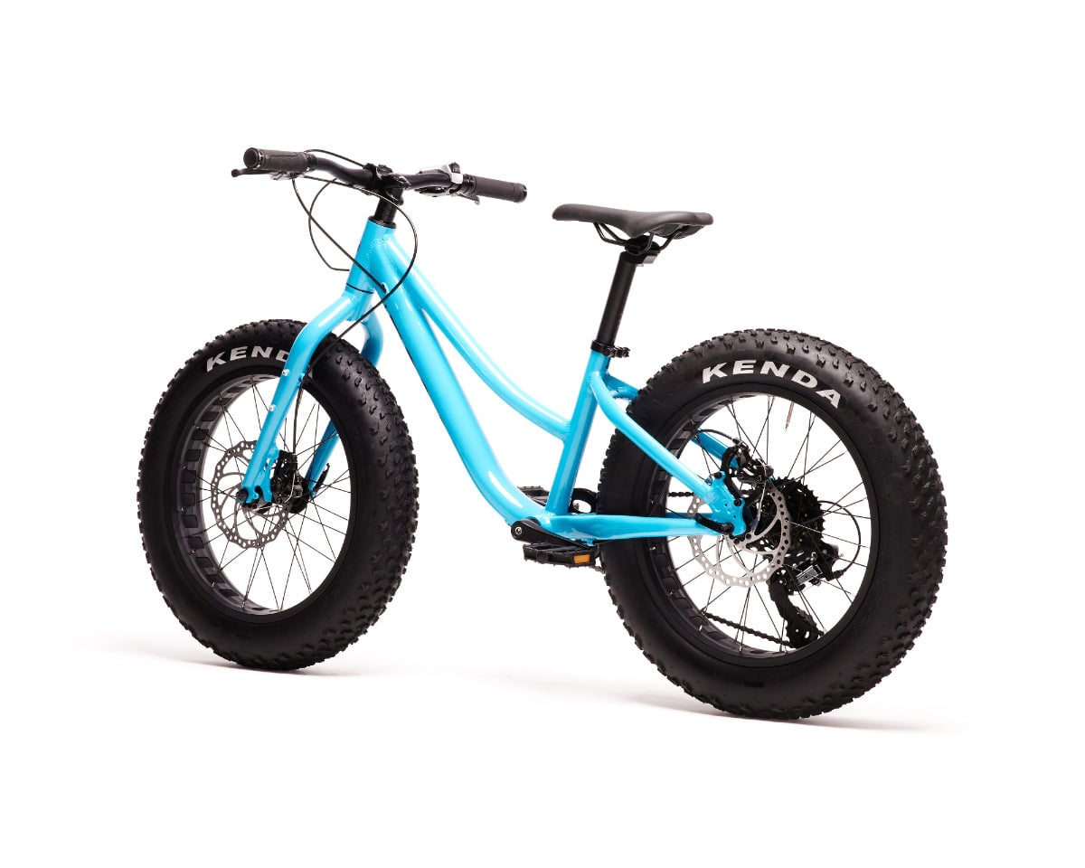 MOOSE Fatbike 20'' Bleu