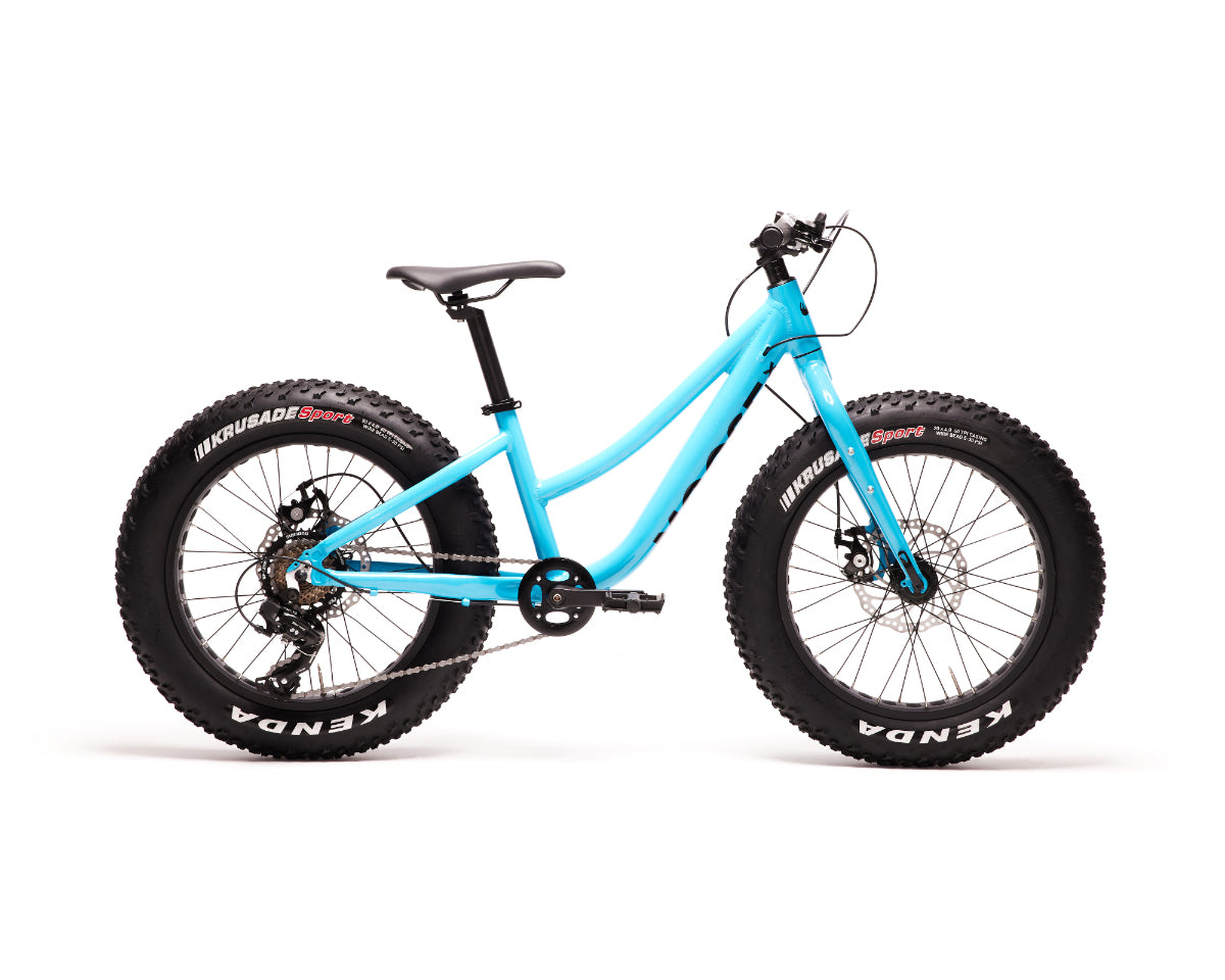 MOOSE Fatbike 20'' Bleu