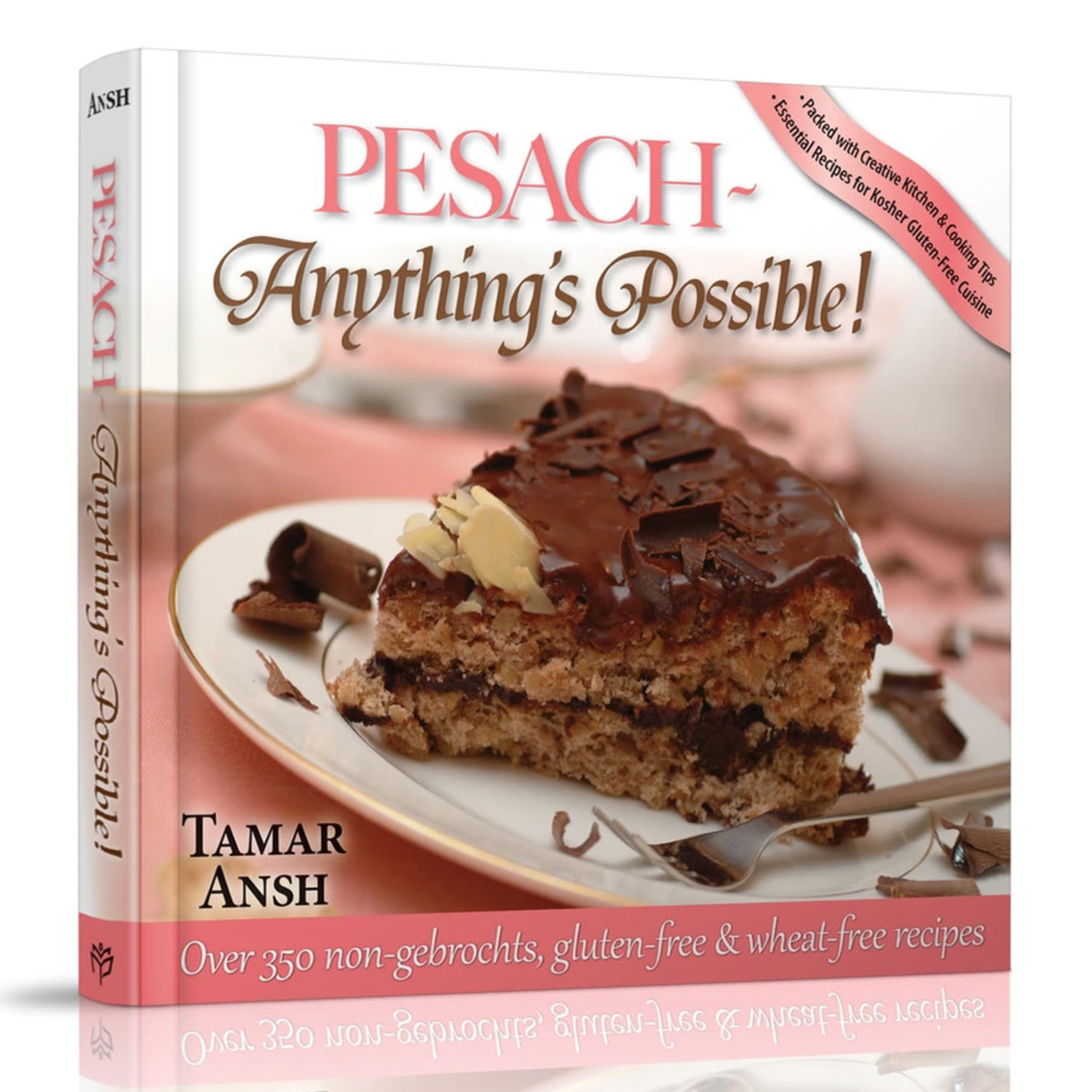 Pesach - Anything's Possible!