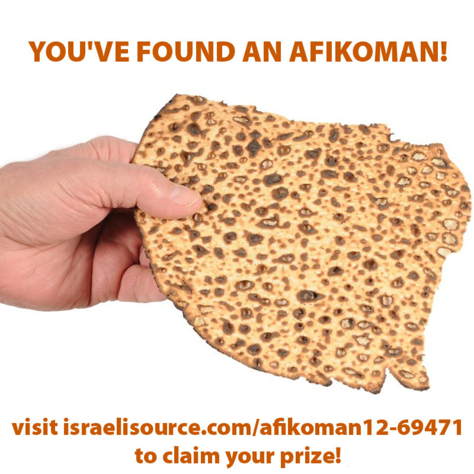 Seder Plate Liners, 6pcs