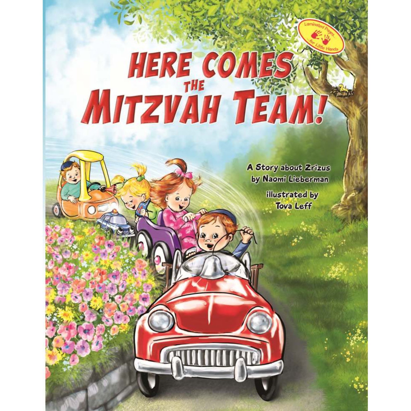 Here Comes the Mitzvah Team