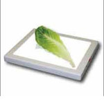 Kosher Innovations Bug Checker MAX PRO Light Board