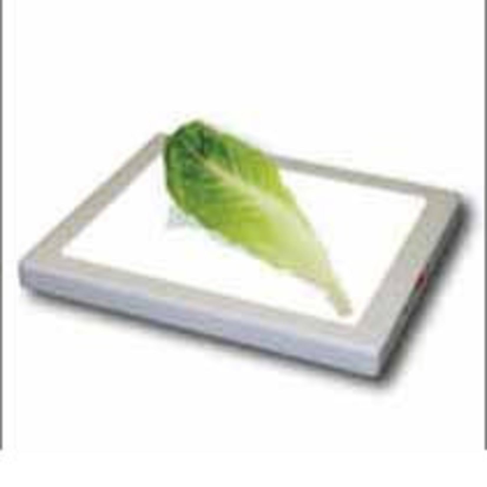 Kosher Innovations Bug Checker MAX PRO Light Board